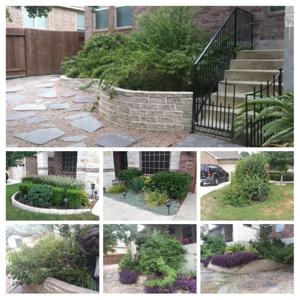 Local landscape design experts serving San Antonio, TX - Just-In Time Lawn Care