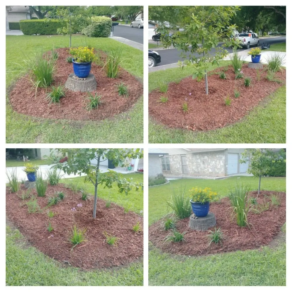 Custom lawn care service with custom design in San Antonio, TX by Just-In Time Lawn Care