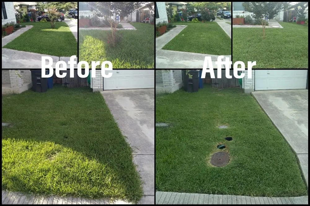 Custom yard maintenance in San Antonio, TX by Just-In Time Lawn Care