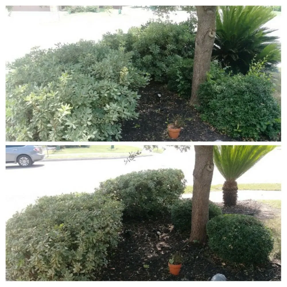 Reliable landscaping services experts serving San Antonio, TX - Just-In Time Lawn Care