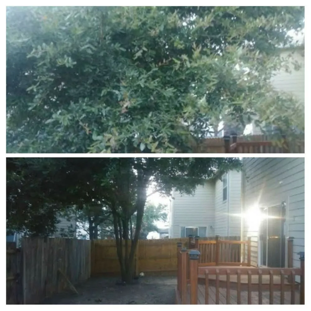 Trusted garden landscaping in San Antonio, TX - Just-In Time Lawn Care