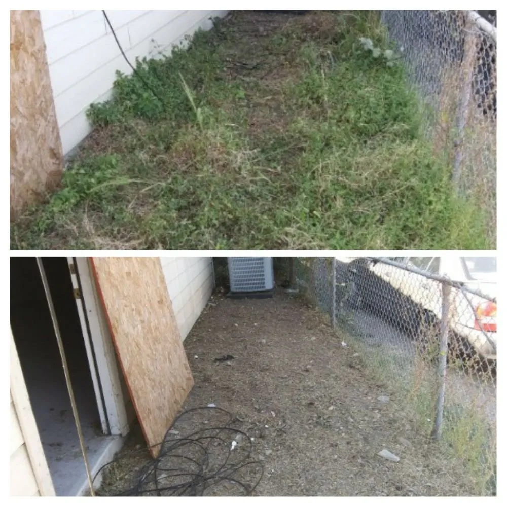 Local landscape design for residential properties in San Antonio, TX by Just-In Time Lawn Care