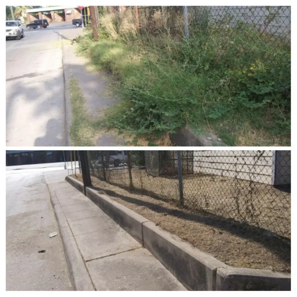 Reliable lawn care service experts serving San Antonio, TX - Just-In Time Lawn Care