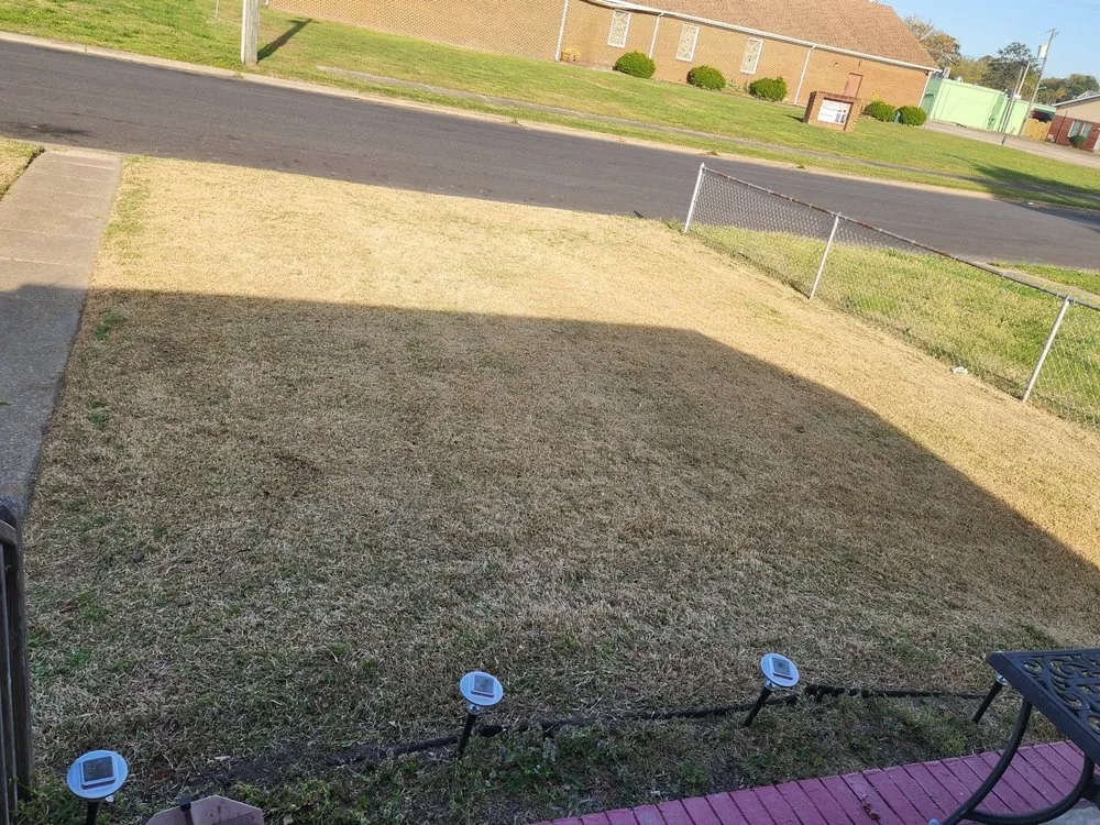 Expert yard cleanup service experts serving Newport News, VA - Just-in-Time Lawn Maintenance