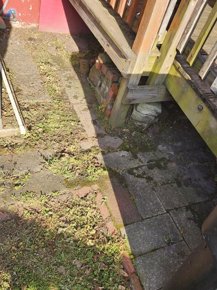 Top-rated lawn mowing service experts serving Newport News, VA - Just-in-Time Lawn Maintenance