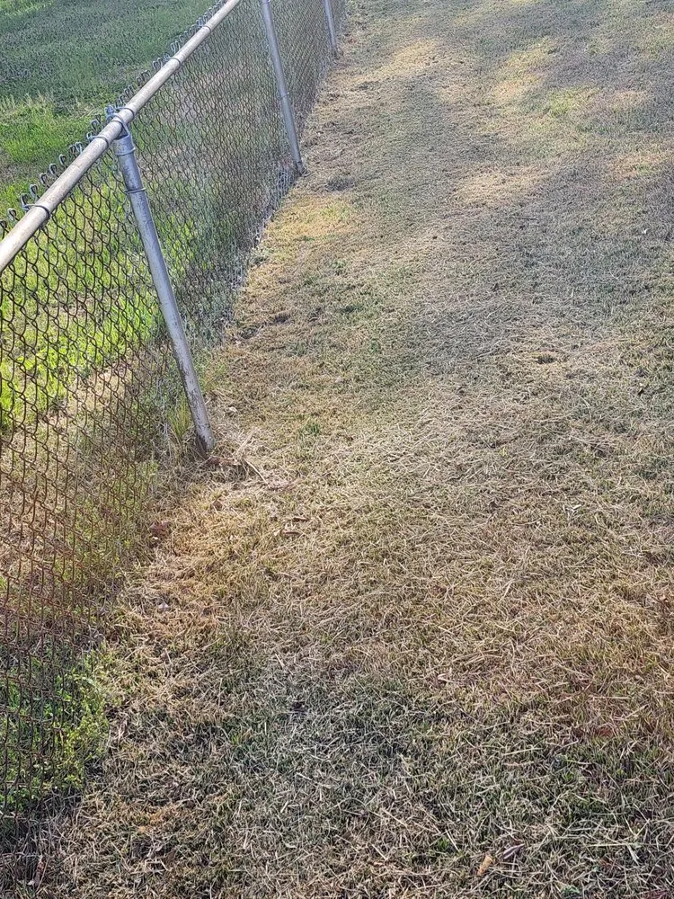 Trusted landscape design in Newport News, VA - Just-in-Time Lawn Maintenance