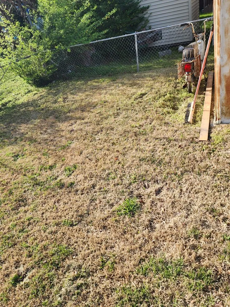 Trusted landscape design experts serving Newport News, VA - Just-in-Time Lawn Maintenance