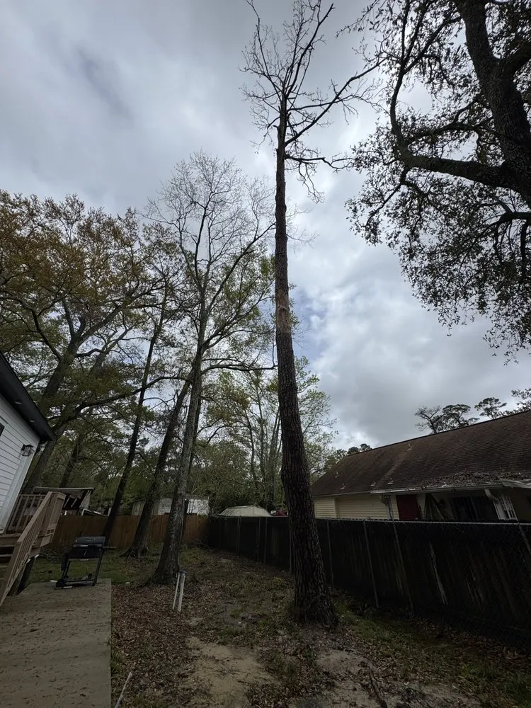 Local landscaping services for homes across Slidell, LA - Just In Time Lawncare And Maintenance