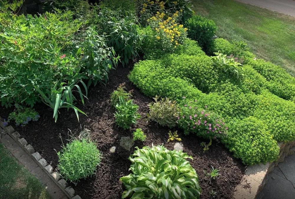 Top-rated residential landscaping in Slinger, WI - Just-In-Time Outdoor Services
