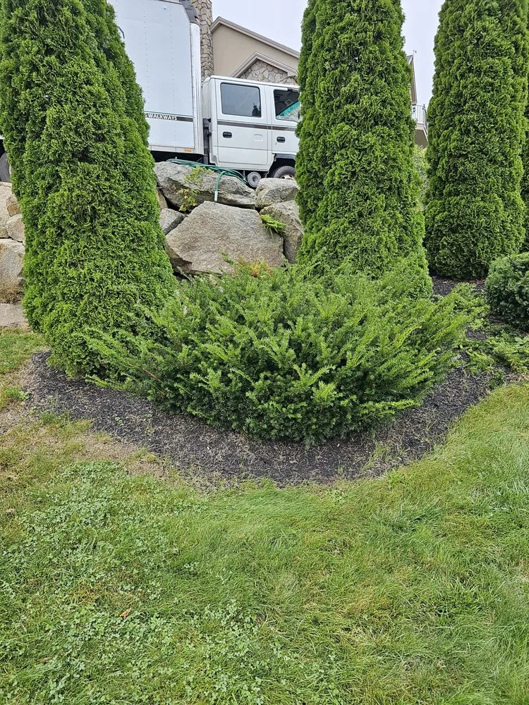 Reliable residential landscaping for residential properties across Thornton, NH - Just In Time Property Services
