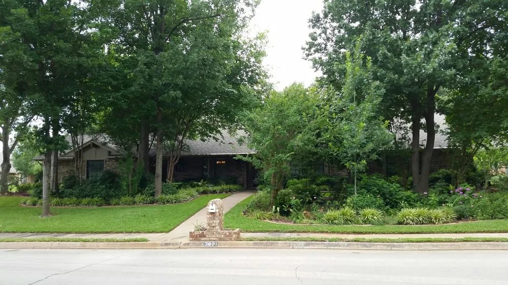 Reliable lawn care service with custom design in Hurst, TX by Just-in-time Tree Service