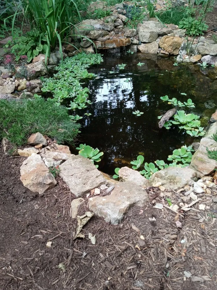 Professional lawn mowing service for outdoor upgrades in Springfield, IL by Just J's Lawnscape