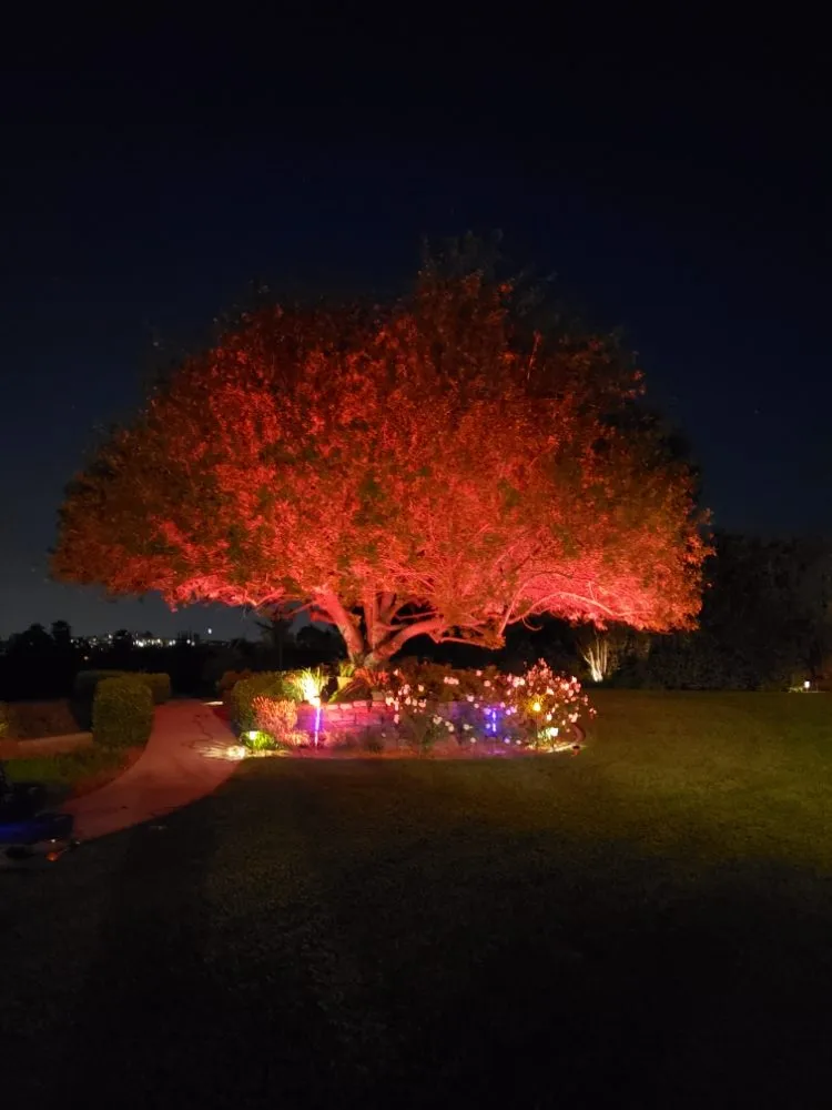 Trusted residential landscaping experts serving Redlands, CA - Just Landscape Lighting