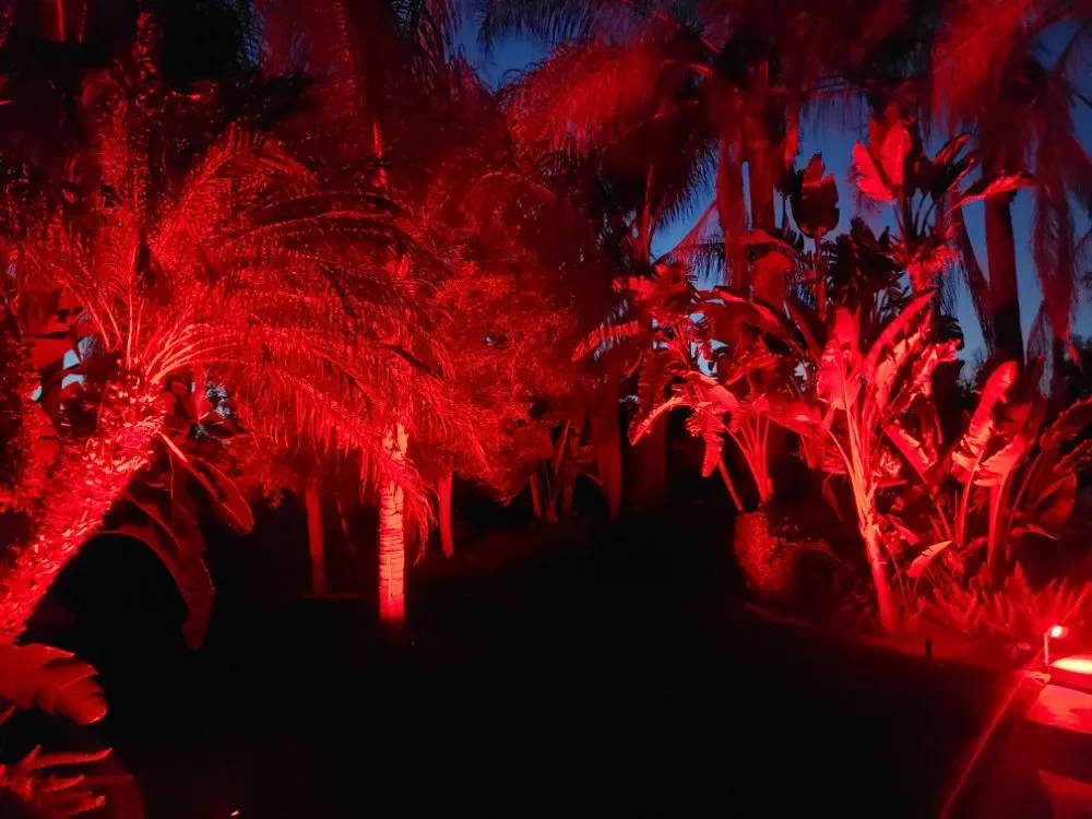 Expert landscaping services experts serving Redlands, CA - Just Landscape Lighting