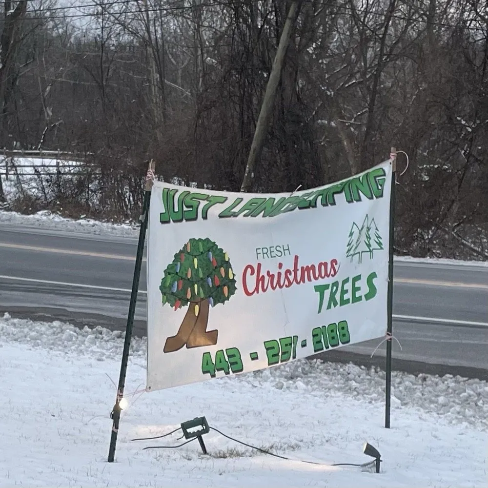 Expert outdoor landscaping in Catonsville, MD - Just Landscaping