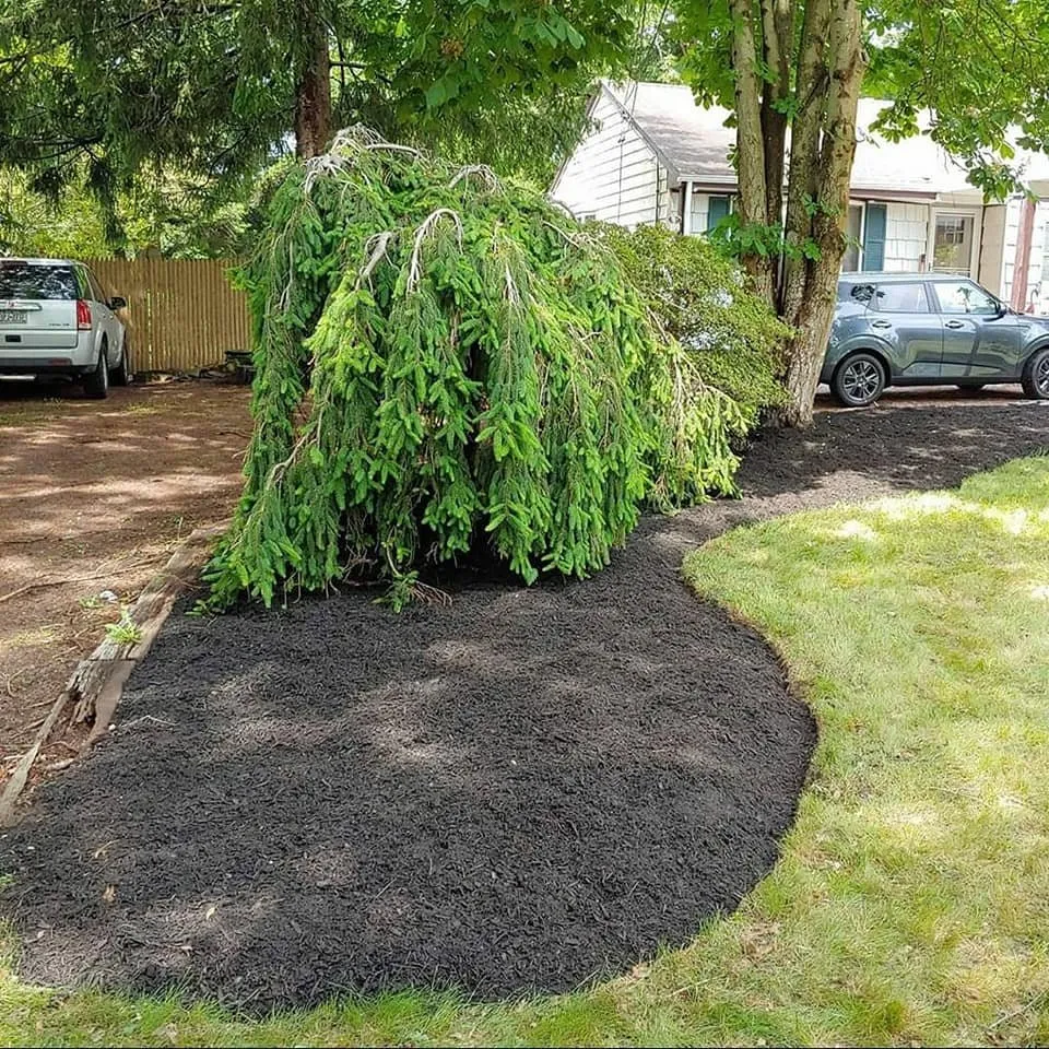 Expert yard cleanup service with custom design in Selden, NY by Just Lawn Care