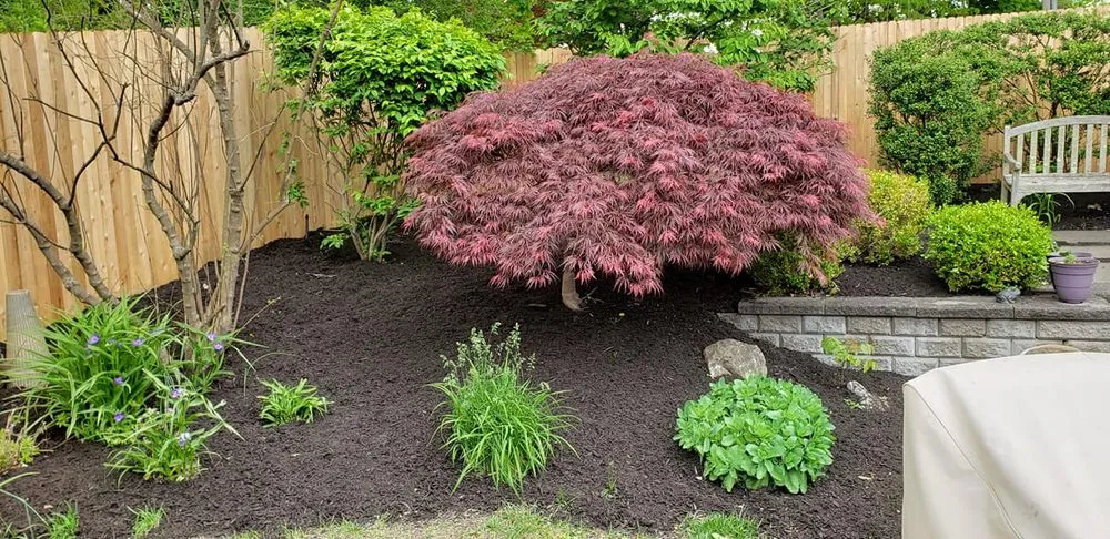 Reliable yard maintenance in Selden, NY by Just Lawn Care