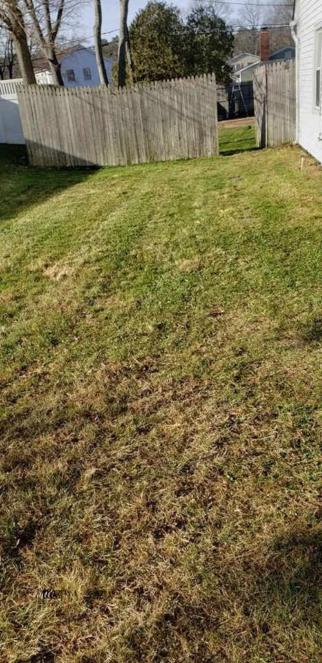 Top-rated outdoor landscaping for homes across Selden, NY - Just Lawn Care