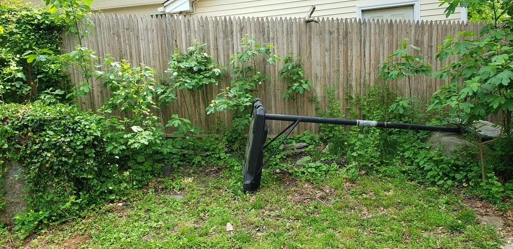 Local yard cleanup service for outdoor upgrades in Selden, NY by Just Lawn Care