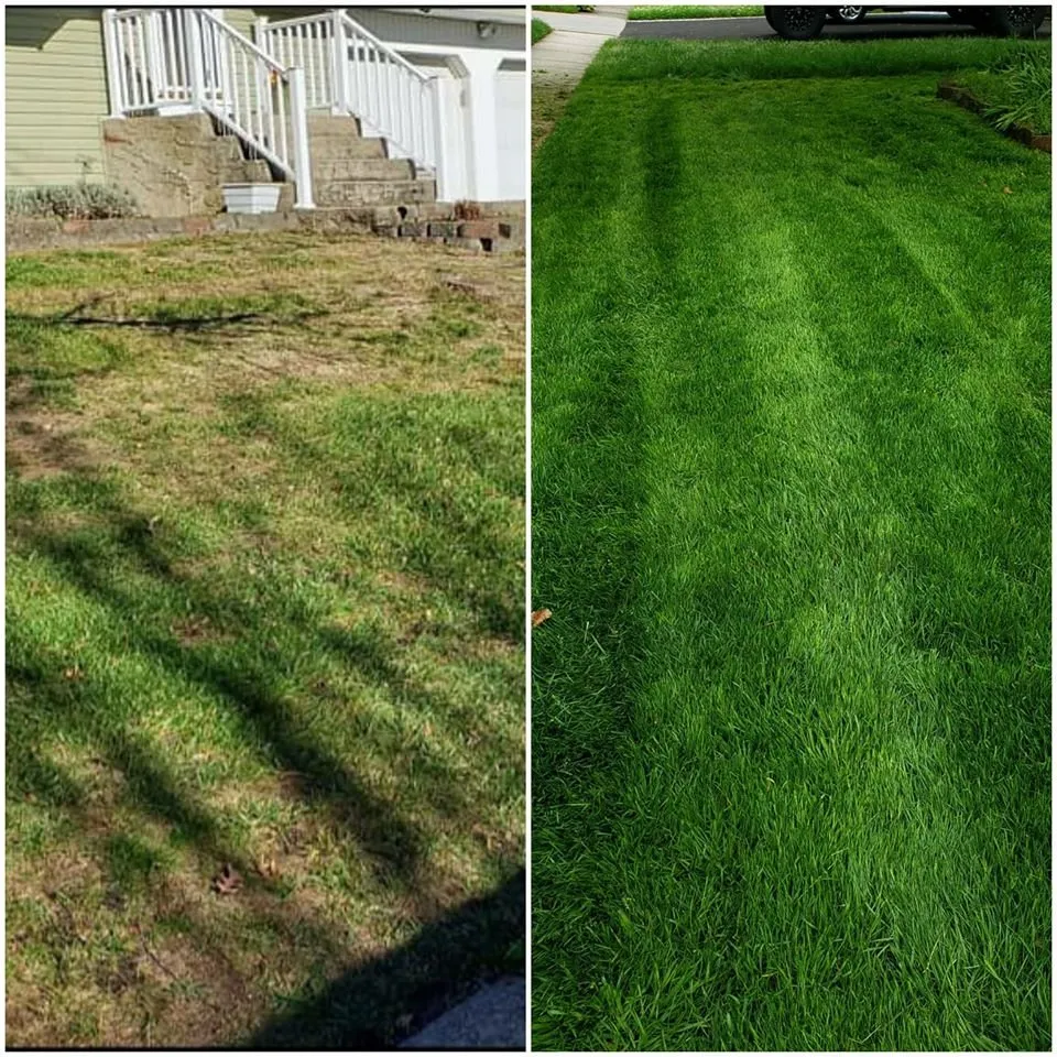Local yard cleanup service experts serving Selden, NY - Just Lawn Care