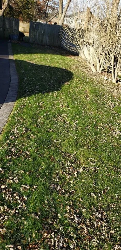 Reliable landscape design for year-round maintenance across Selden, NY - Just Lawn Care