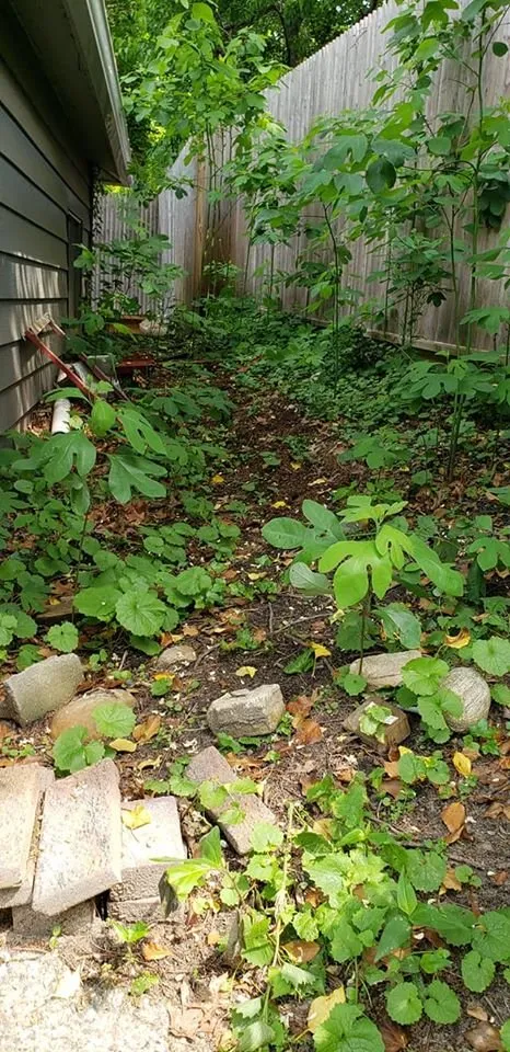 Trusted residential landscaping for outdoor upgrades across Selden, NY - Just Lawn Care