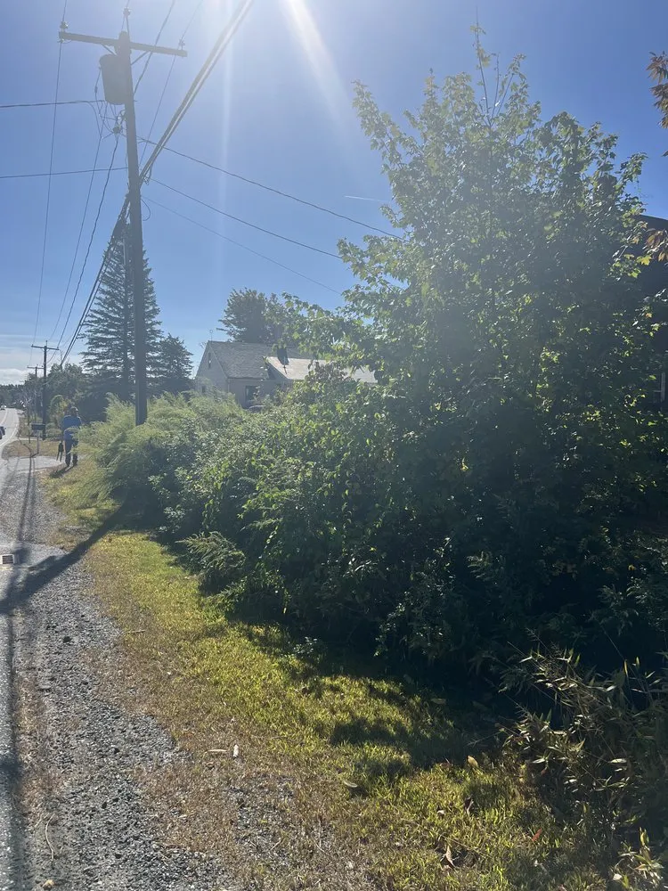 Expert yard cleanup service in Ashby, MA by Just Lawns 4u