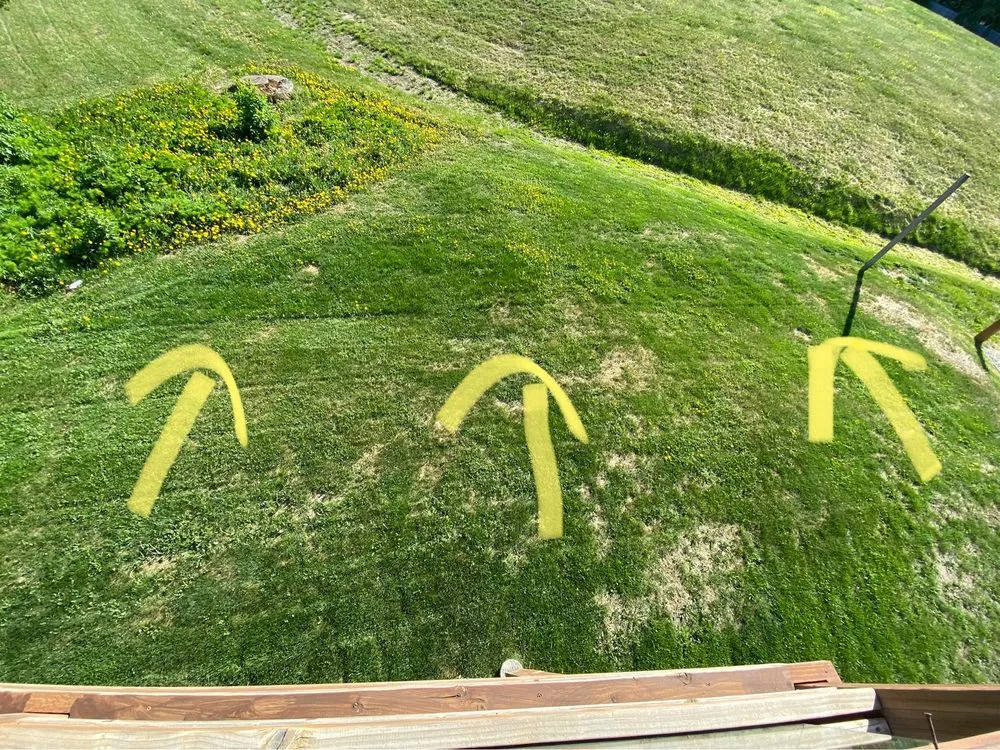 Professional lawn care service experts serving Anchorage, AK - Just Lawns