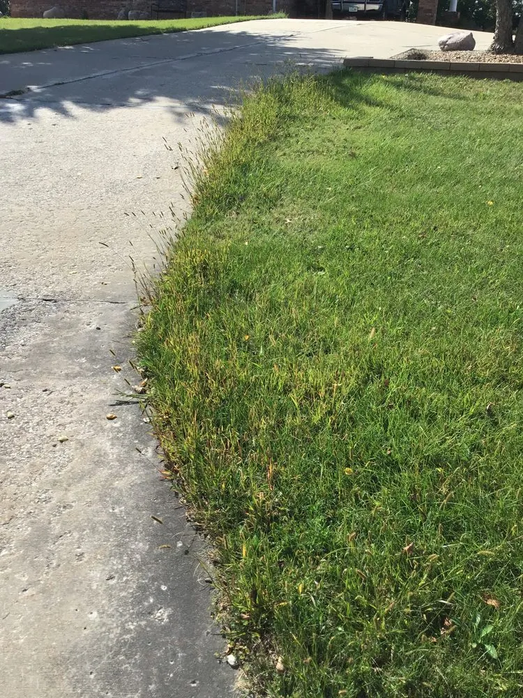 Professional yard cleanup service for residential properties across Kalona, IA - Just Lawns