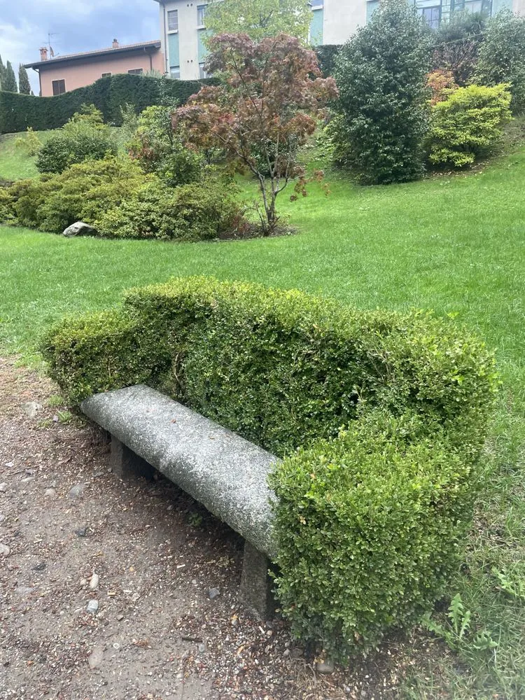 Custom landscaping services experts serving Vista, CA - Just Lawns