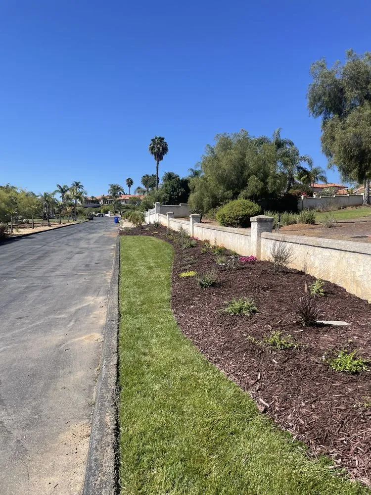Professional residential landscaping experts serving Vista, CA - Just Lawns