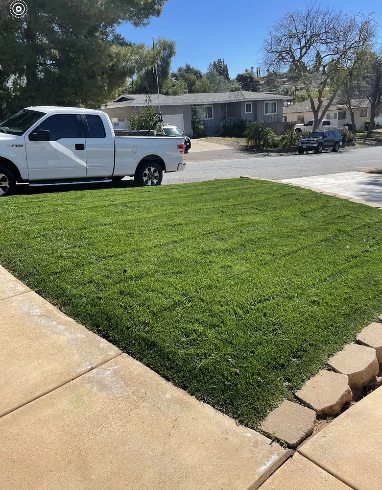 Local landscaping services experts serving Vista, CA - Just Lawns