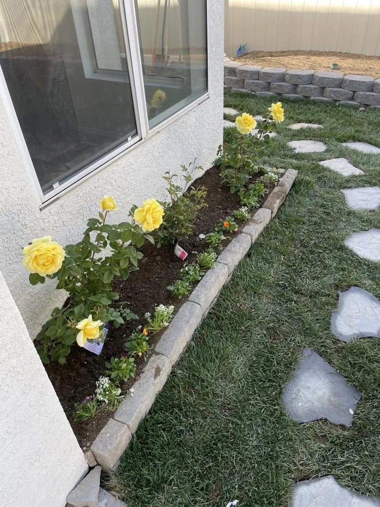 Affordable landscape installation for outdoor upgrades in Vista, CA by Just Lawns