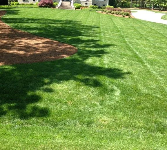 Affordable landscape design in Wake Forest, NC by Just Lawns