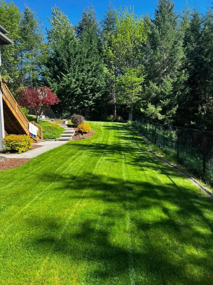 Local lawn care service experts serving Black Diamond, WA - Just Like New Services