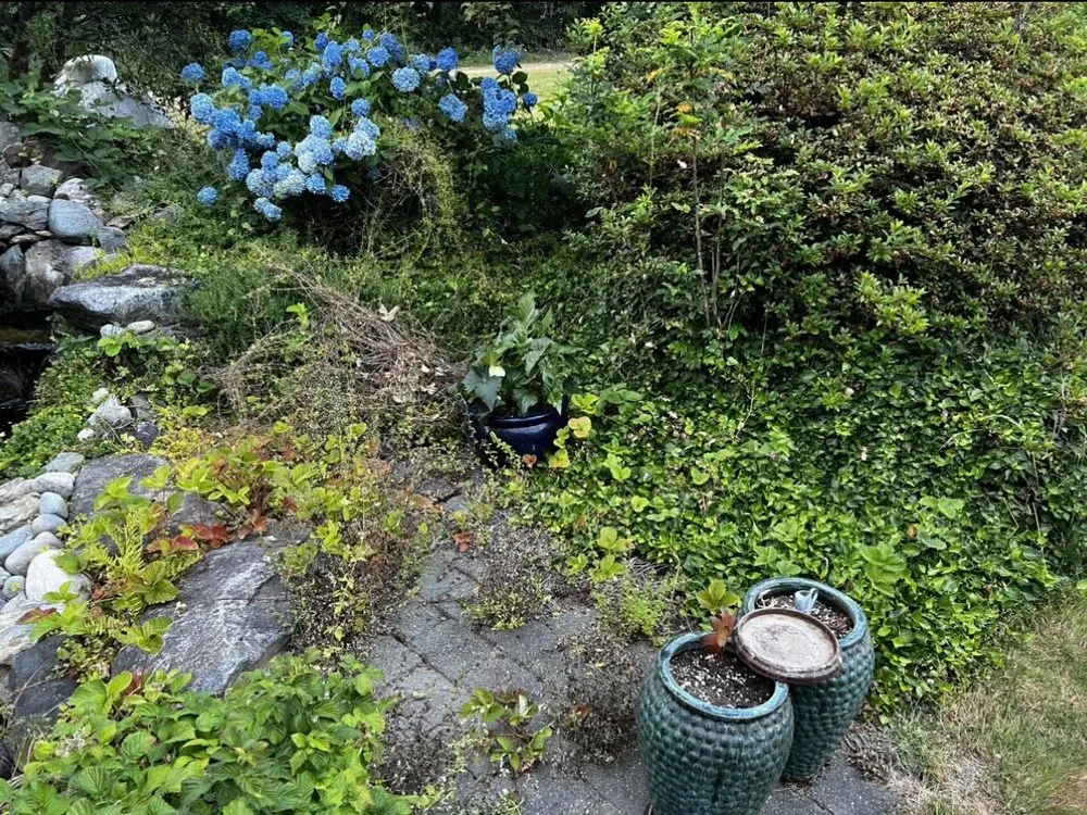 Custom landscape installation for residential properties in Black Diamond, WA by Just Like New Services