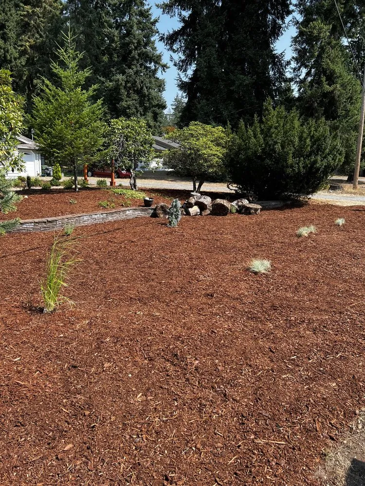 Custom yard maintenance in Black Diamond, WA by Just Like New Services