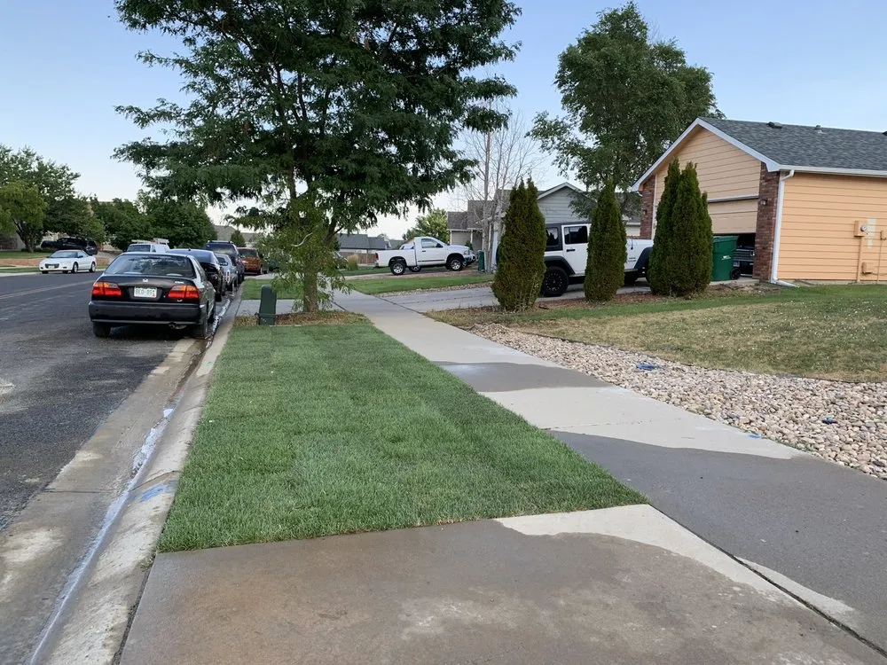 Reliable landscape design in Evans, CO - Just Me Mowing