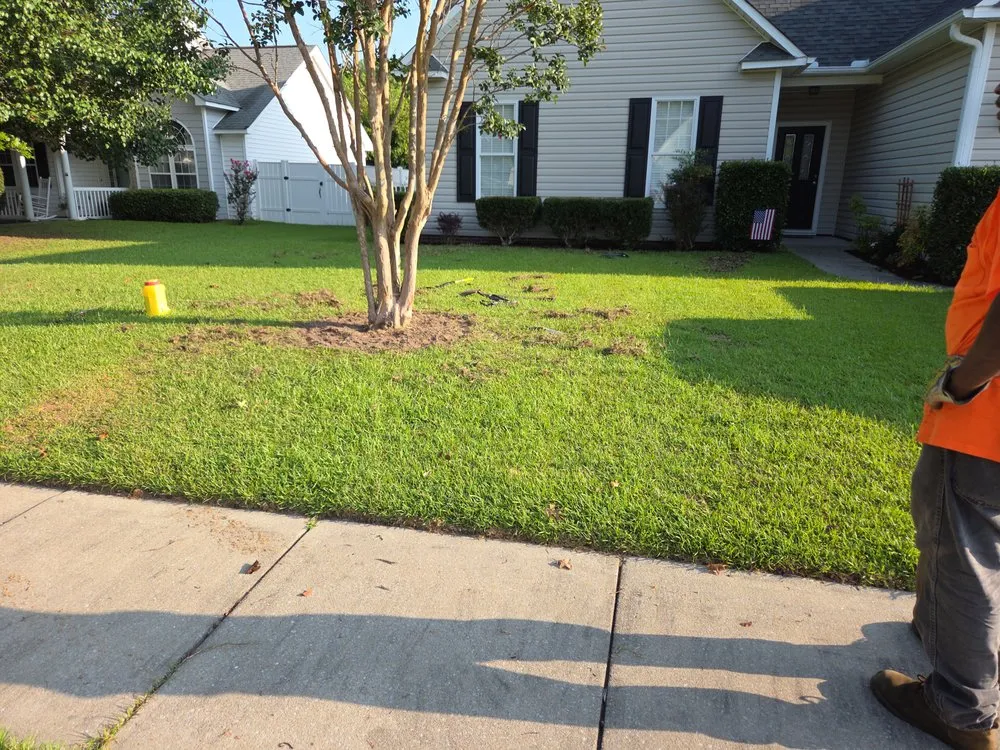 Top-rated lawn care service in New Bern, NC - Just Mow and Go lawn service
