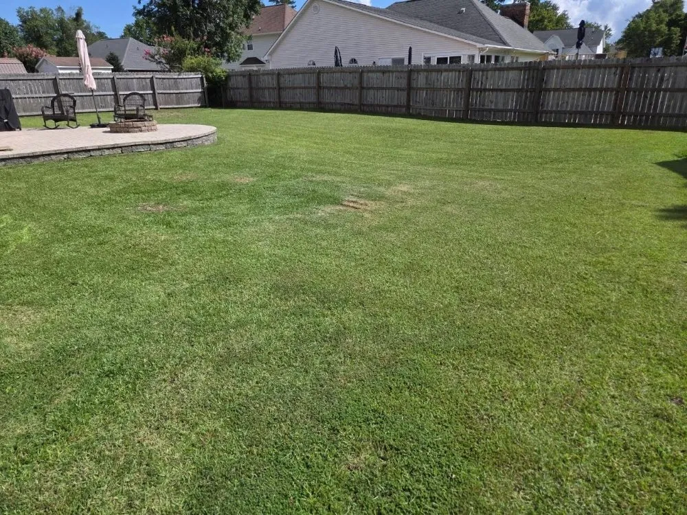 Reliable yard cleanup service experts serving New Bern, NC - Just Mow and Go lawn service