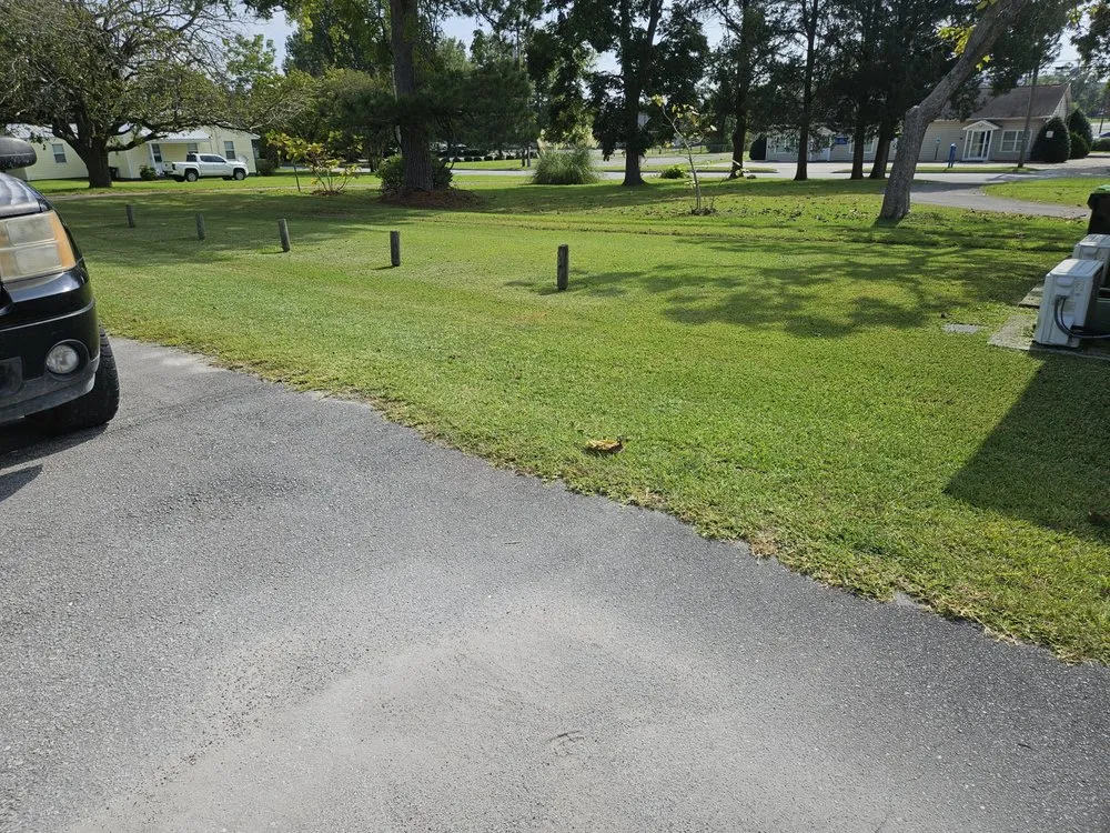 Top-rated yard cleanup service in New Bern, NC by Just Mow and Go lawn service