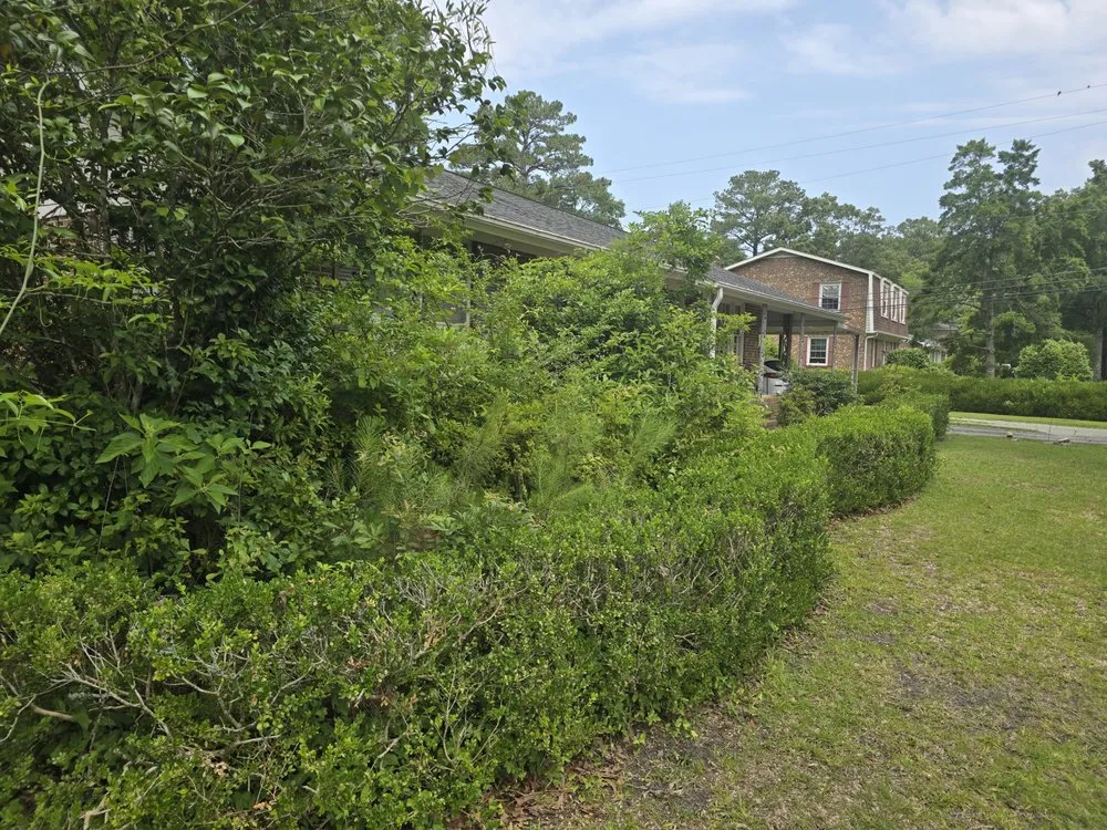 Trusted lawn care service in New Bern, NC by Just Mow and Go lawn service