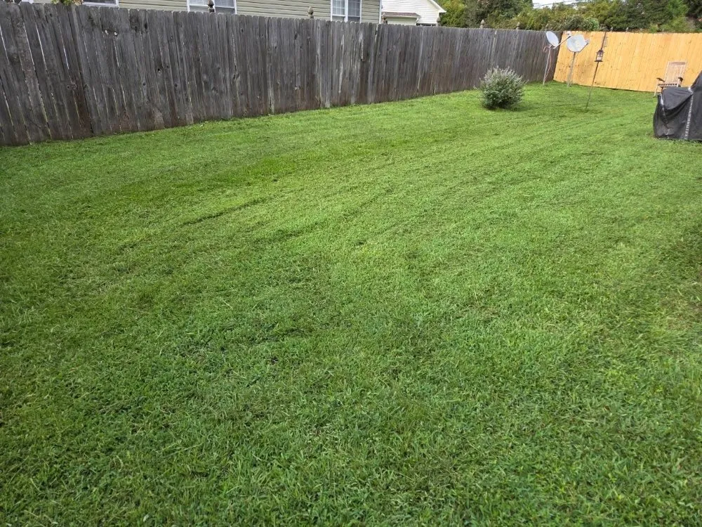 Reliable yard maintenance in New Bern, NC - Just Mow and Go lawn service