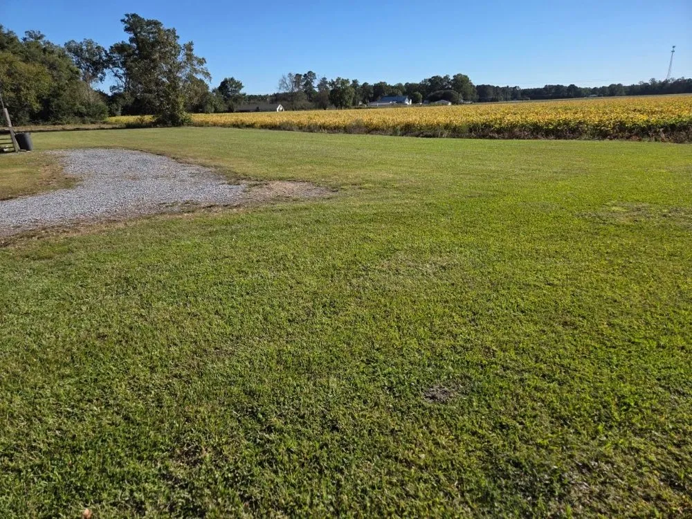 Top-rated outdoor landscaping experts serving New Bern, NC - Just Mow and Go lawn service