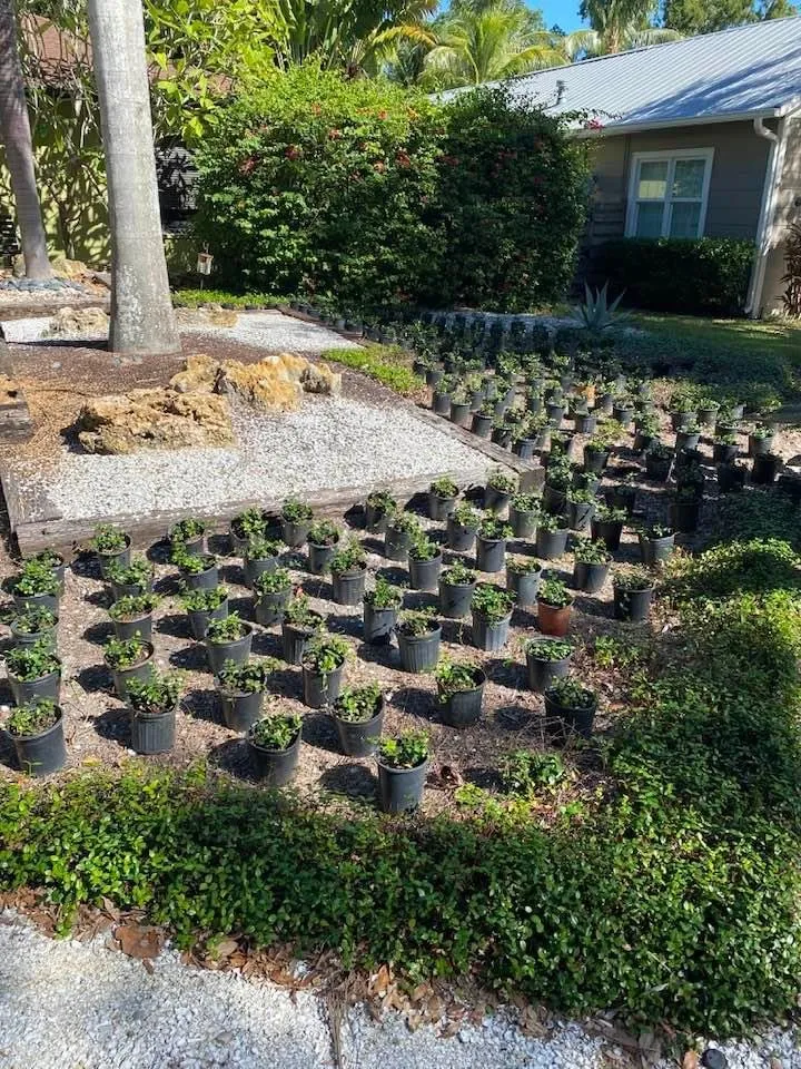 Professional landscape installation experts serving Sarasota, FL - Just MOW For It