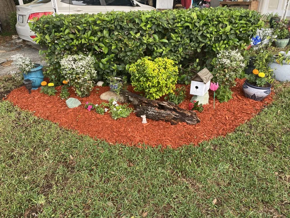 Affordable landscaping services in Sarasota, FL by Just MOW For It