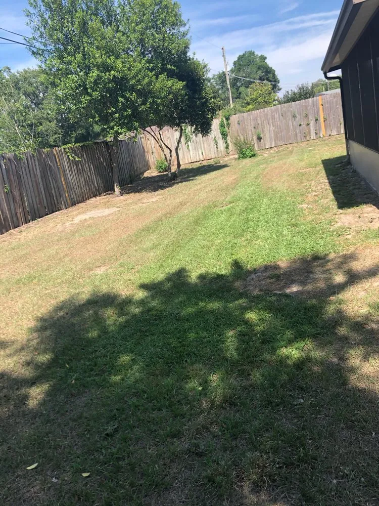 Expert yard cleanup service in Seffner, FL by Just Mow It
