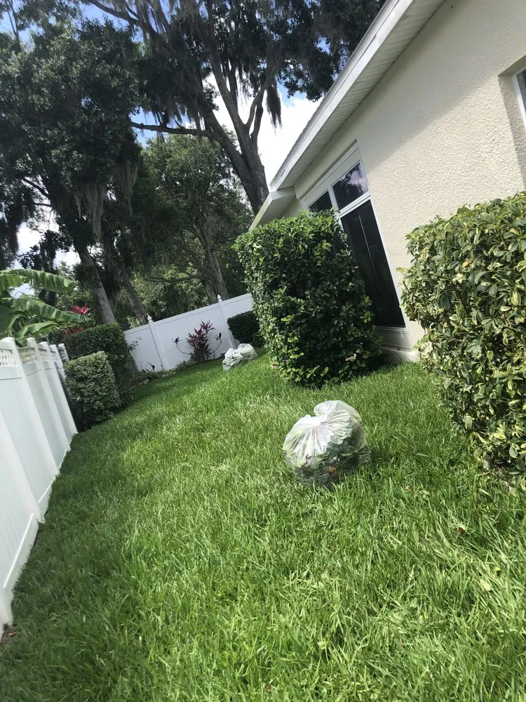 Expert lawn mowing service with custom design across Seffner, FL - Just Mow It