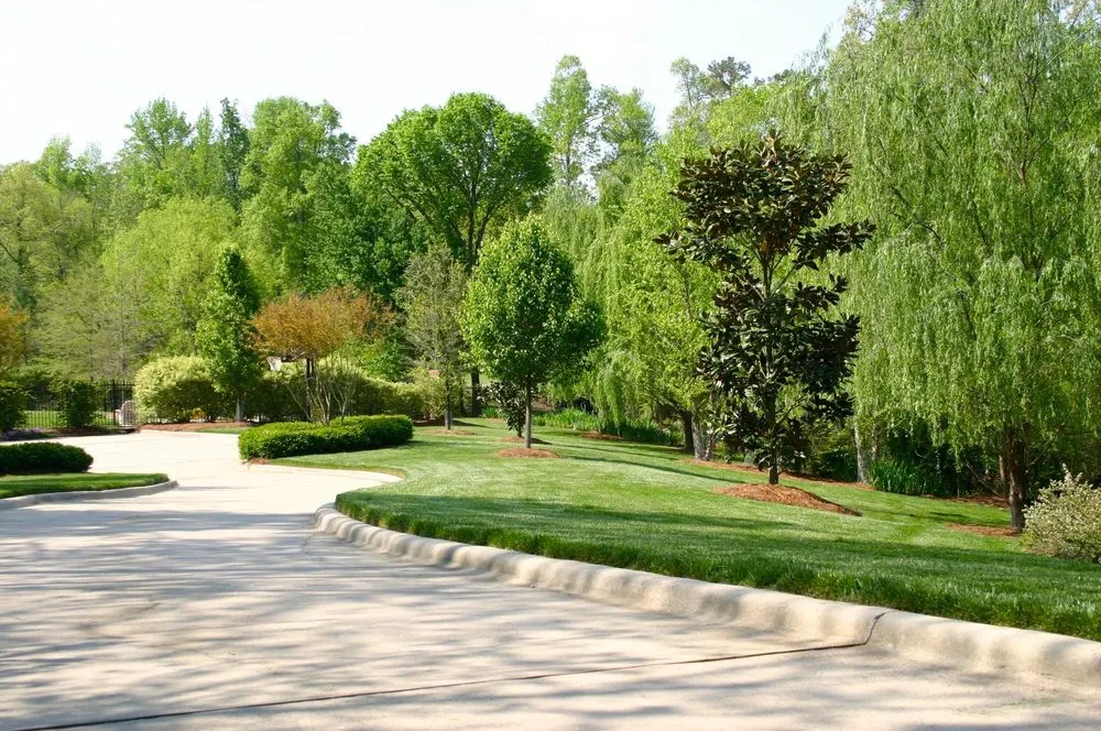 Reliable yard cleanup service with custom design across Willow Spring, NC - Just My Style Landscape Services