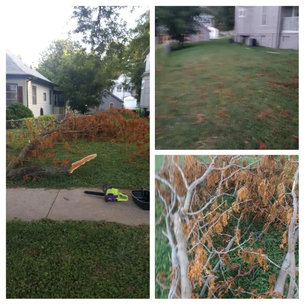 Affordable lawn care service in Omaha, NE - Just N Time Handymen
